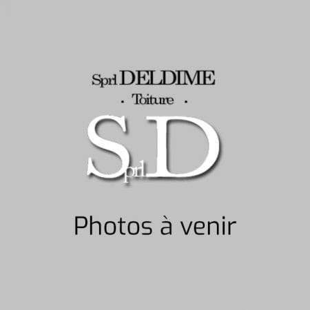 photo-deldime