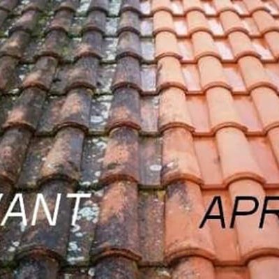 Traitement antimousse et lichens